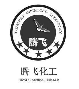 腾飞 腾飞化工 TENGFEI CHEMICAL INDUSTRY;TENGFEI CHEMICAL INDUSTRY