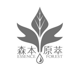 森本原萃 ESSENCE FOREST;ESSENCE FOREST