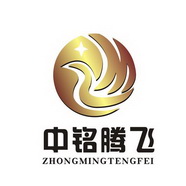 中铭腾飞  ZM;ZM