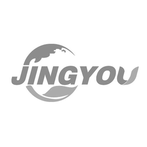 JINGYOU;JINGYOU