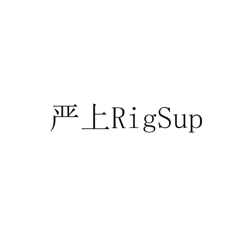 严上RIGSUP;RIGSUP