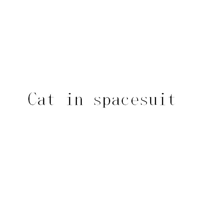 CAT IN SPACESUIT;CAT IN SPACESUIT