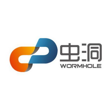 虫洞;WORMHOLE