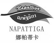 娜帕蒂卡;NAPATTIGA