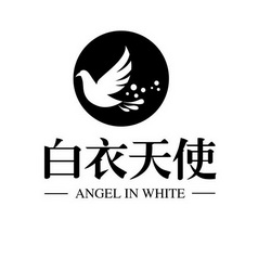 白衣天使;ANGEL IN WHITE