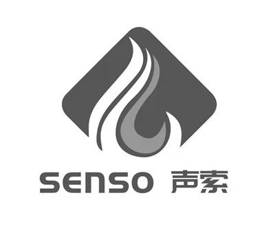 声索;SENSO