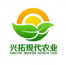 兴拓现代农业 XINGTUO MODERN AGRICUL TURE;XINGTUO MODERN AGRICUL TURE