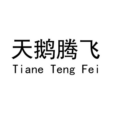 天鹅腾飞;TIANETENGFEI