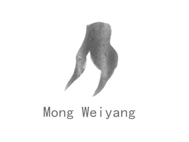 MONG WEIYANG;MONGWEIYANG