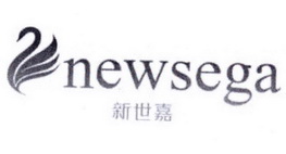 新世嘉 NEWSEGA;NEWSEGA