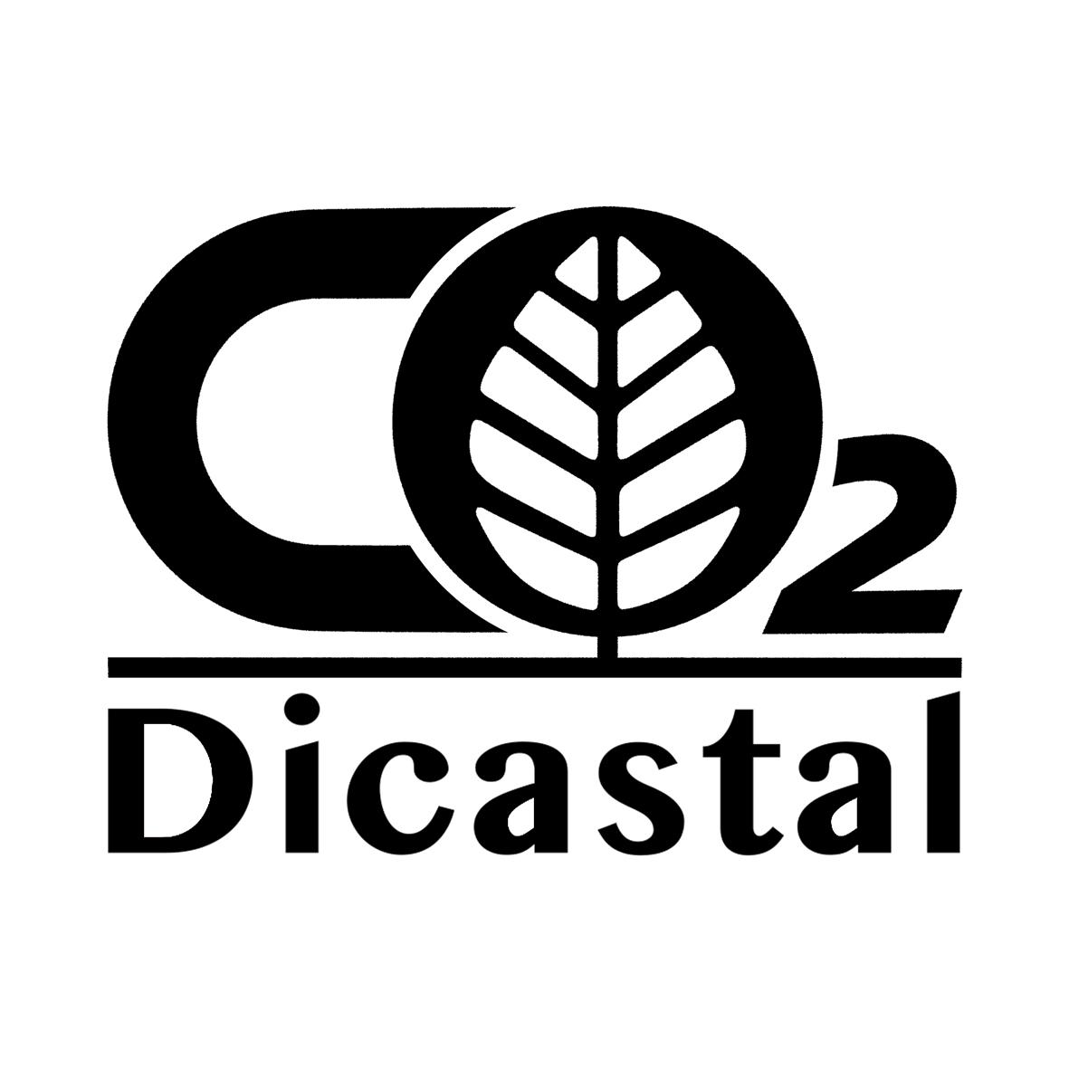 CO2 DICASTAL;CO2 DICASTAL