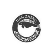 TIAN ZHENG;TIAN ZHENG