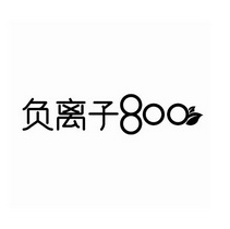 负离子 800;800