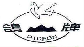 鸽牌;PIGEON