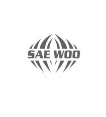 SAE WOO;SAE WOO