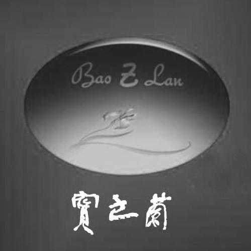 宝之兰 BAO Z LAN;BAO Z LAN