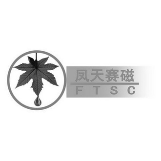 凤天赛磁  FTSC;FTSC