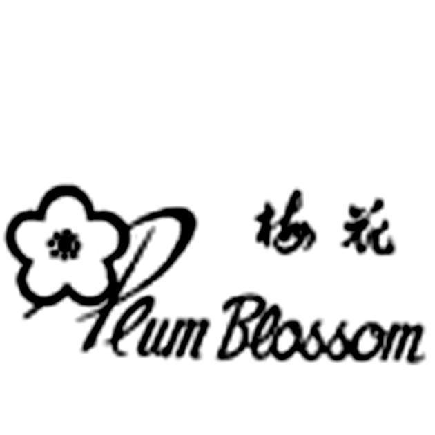 梅花;PLUM BLOSSOM