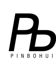 PD PINBOHUI;PDPINBOHUI