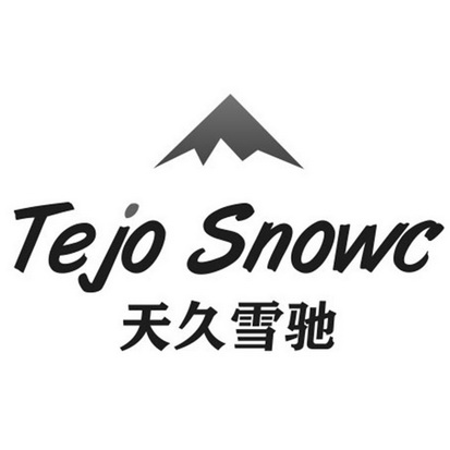 天久雪驰 TEJO SNOWC;TEJO SNOWC