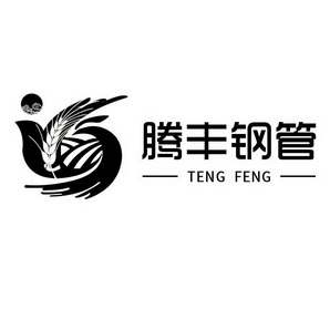 腾丰钢管;TENG FENG