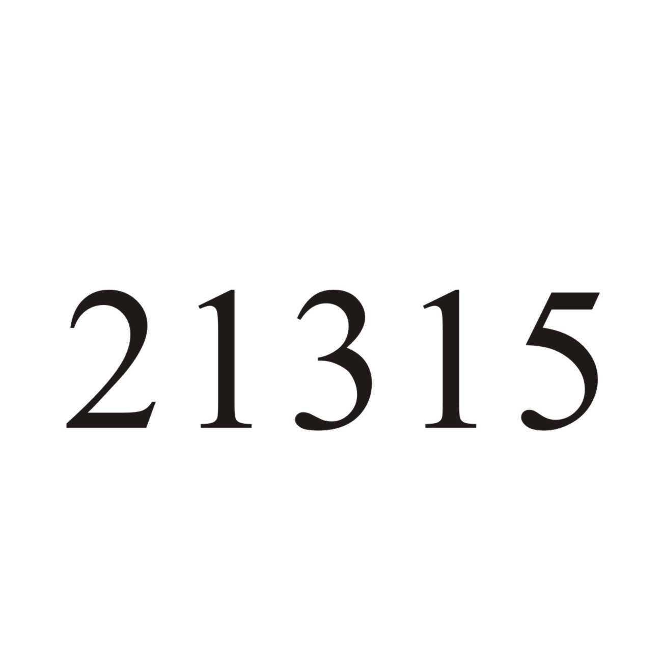 21315;21315