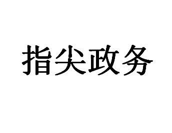 指尖政务