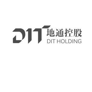 地通控股 DIT HOLDING;DIT HOLDING