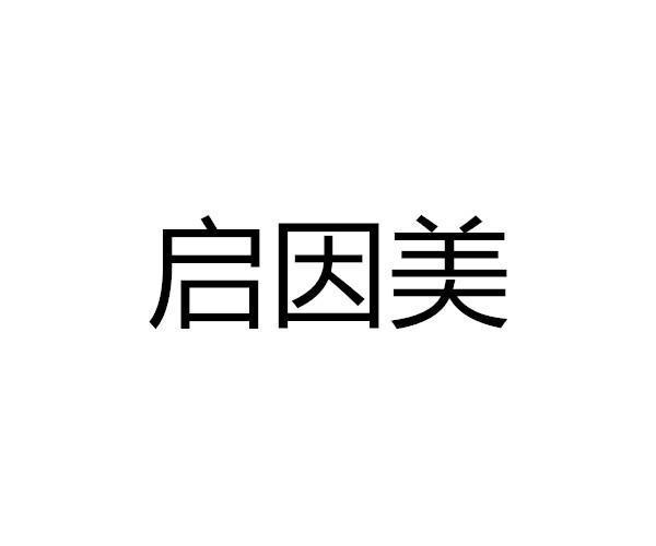 启因美