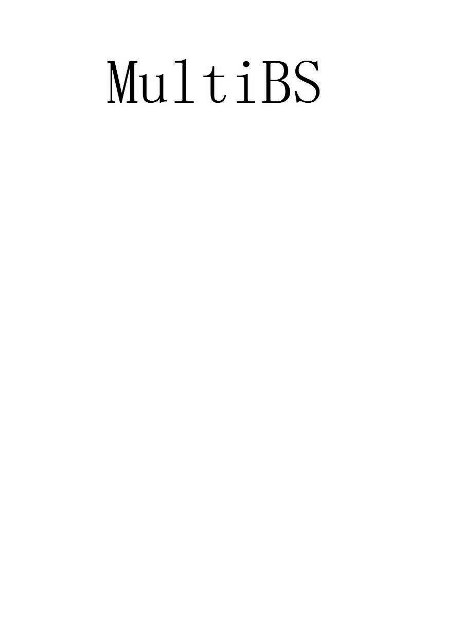 MULTIBS;MULTIBS