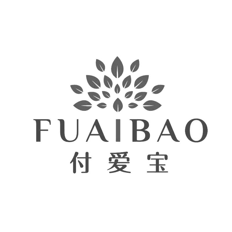 付爱宝;FUAIBAO