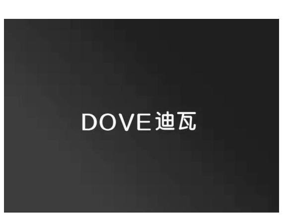 迪瓦;DOVE