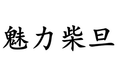 魅力柴旦