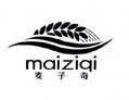 麦子奇;MAIZIQI