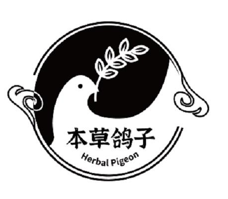 本草鸽子;HERBAL PIGEON