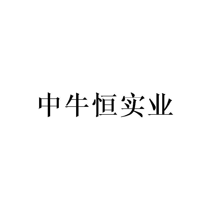 中牛恒实业