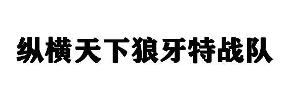 纵横天下狼牙特战队