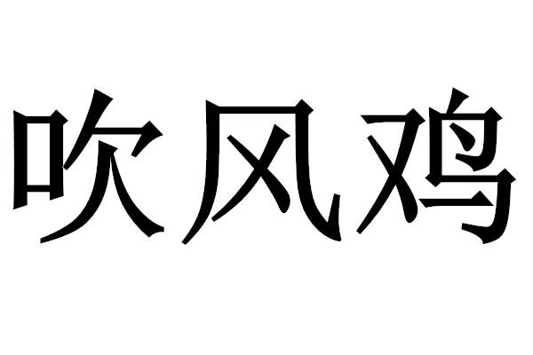 吹风鸡