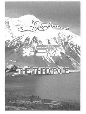 第三极;THE THIRD POLE