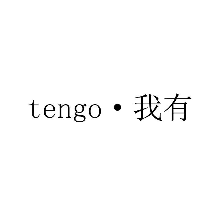 我有;TENGO