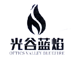 光谷蓝焰  OPTICS VALLEY BLUEFIRE;OPTICSVALLEYBLUEFIRE