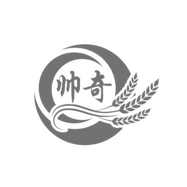 帅奇