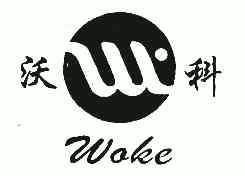 沃科;WO KE;WO KE