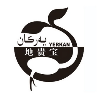 地贵宝 YERKAN;YERKAN