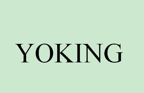 YOKING;YOKING