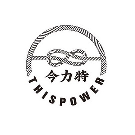 今力特 THISPOWER