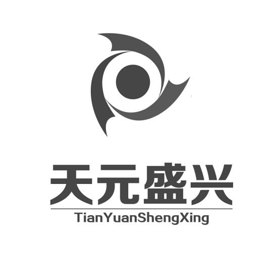 天元盛兴;TIANYUANSHENGXING