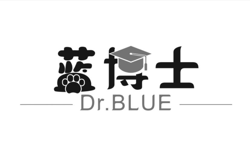 蓝博士;DR BLUE