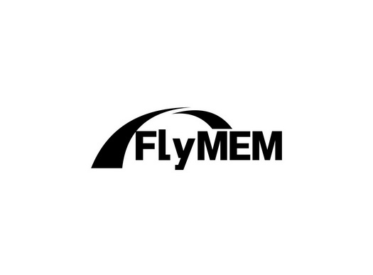 FLYMEM