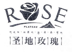 圣地玫瑰;RSE  PLATEAU